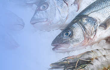  瑞达状（水产）